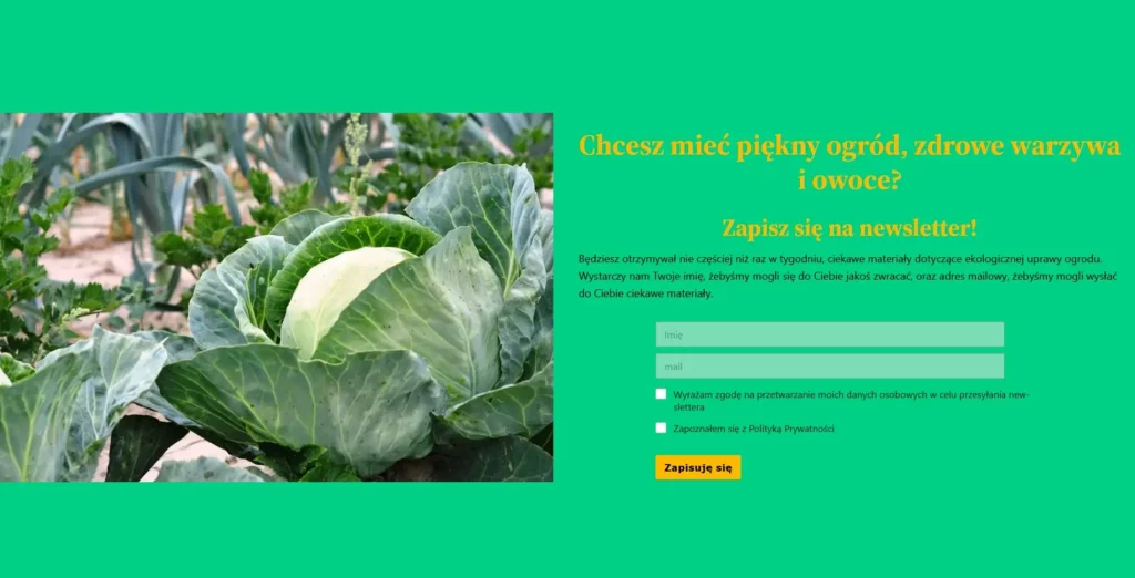 landing page newsletter