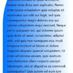 first section widok mobile