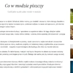 blog